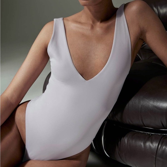 Babaton Tops - Aritzia Babaton Contour Light Grey V Neck Bodysuit